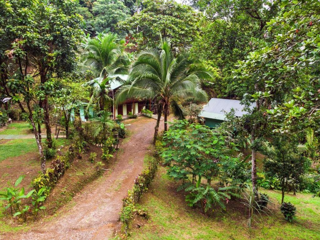Sukia Hostel Драке Экстерьер фото